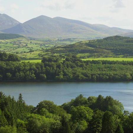 Vila Oaktree Manor Castlewellan Exteriér fotografie