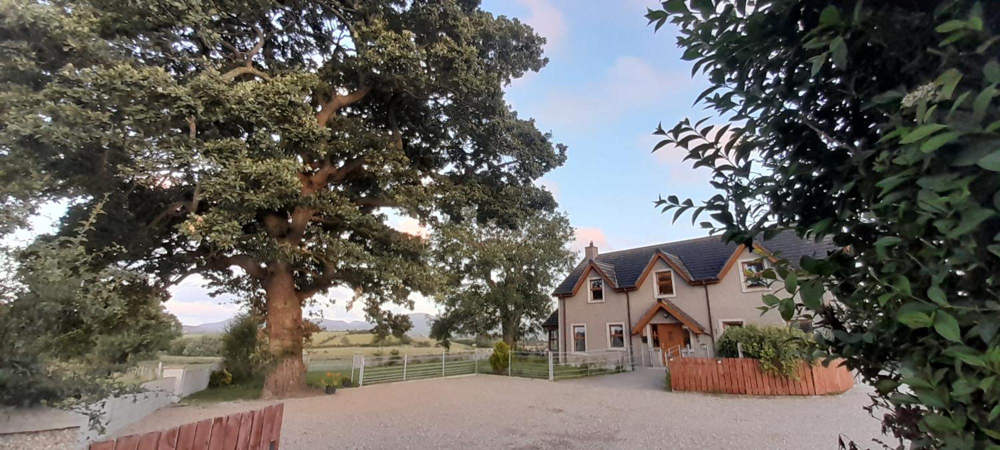 Vila Oaktree Manor Castlewellan Exteriér fotografie