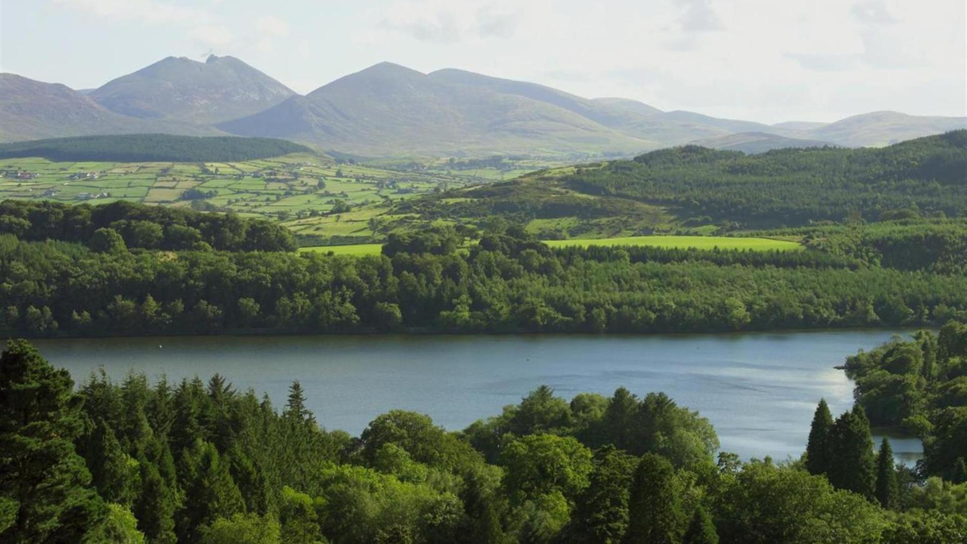 Vila Oaktree Manor Castlewellan Exteriér fotografie