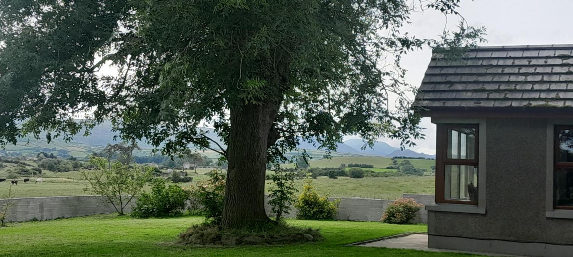 Vila Oaktree Manor Castlewellan Exteriér fotografie